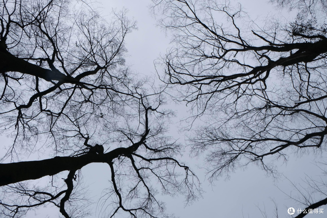 打卡,与山对谈的仪式