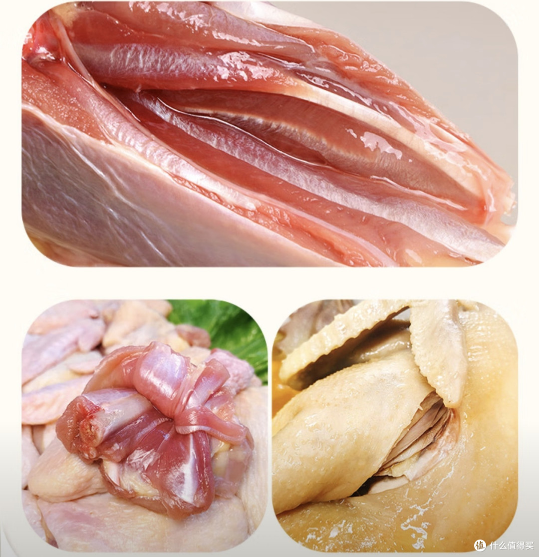 超市卖5元/斤肉鸡,真能吃?有激素和抗生素吗?解析低价背后真相