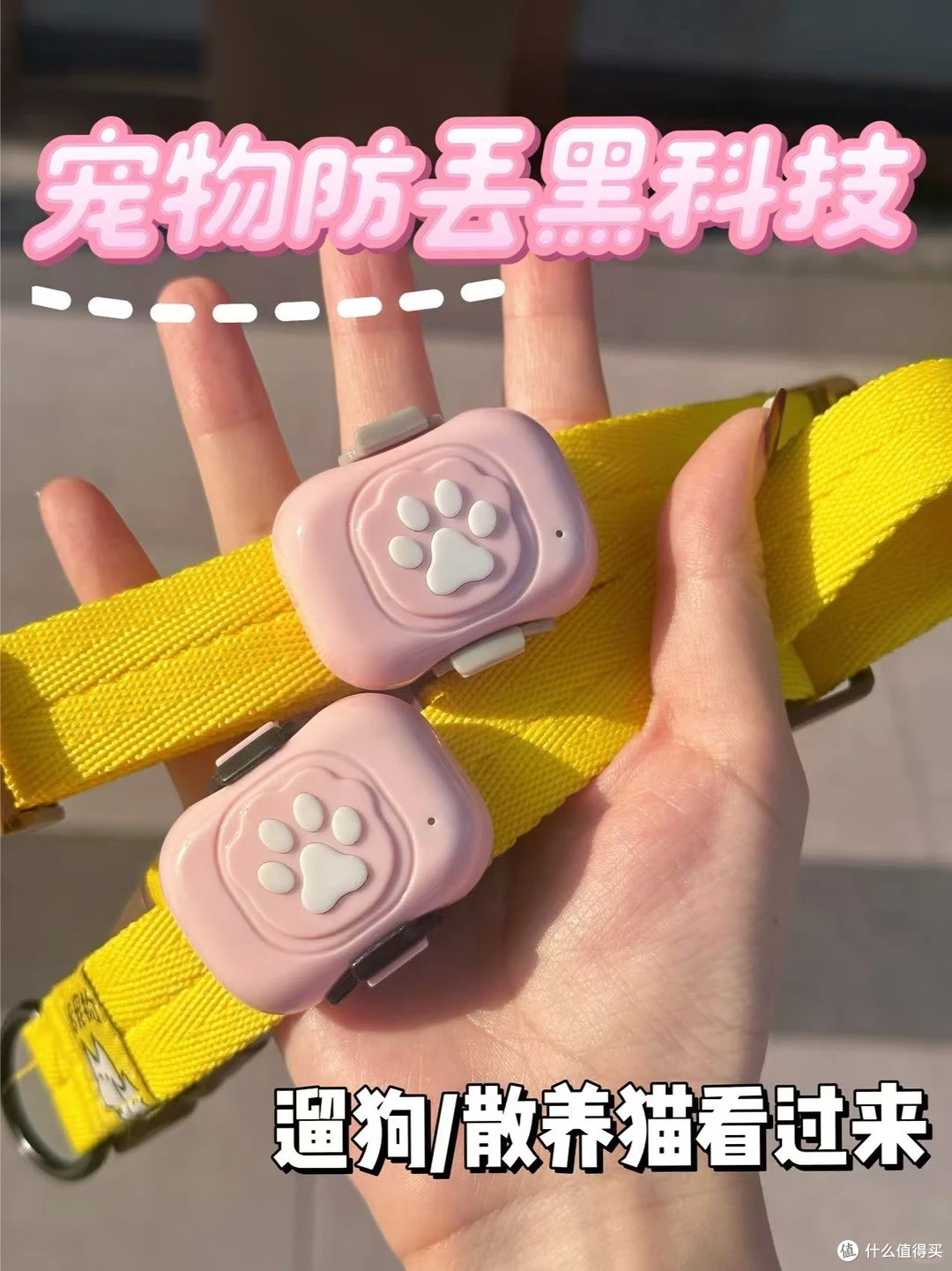猫咪狗狗防走丢,这个小东西就能搞定