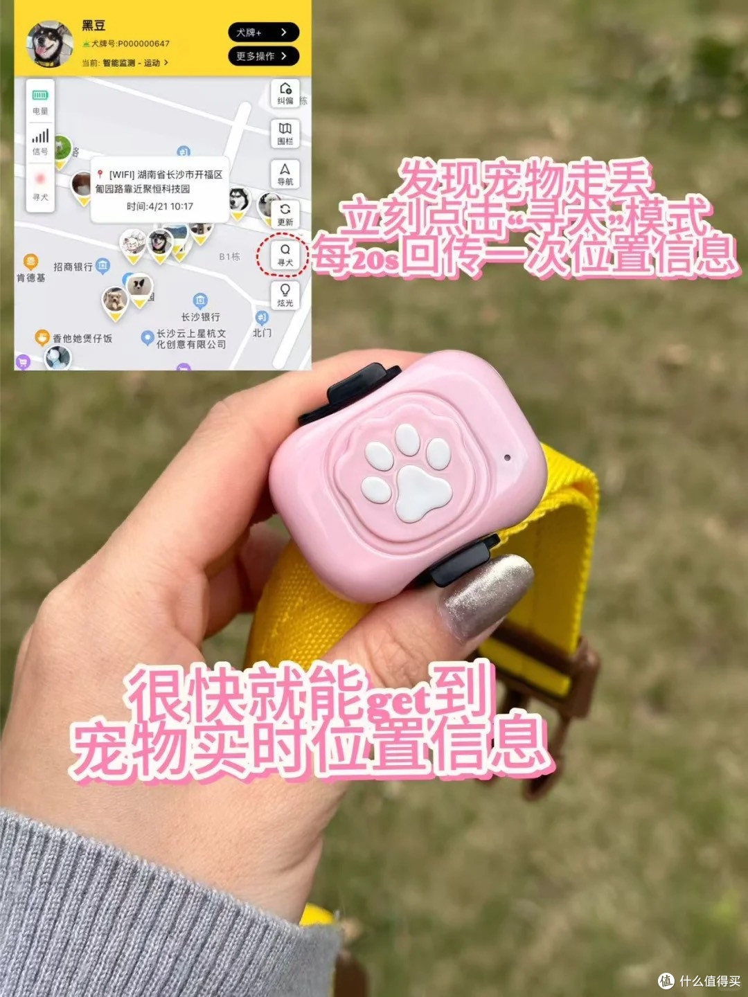 猫咪狗狗防走丢,这个小东西就能搞定