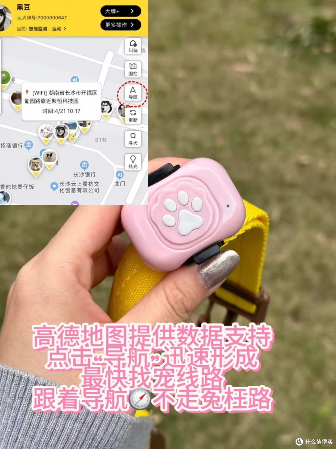猫咪狗狗防走丢,这个小东西就能搞定