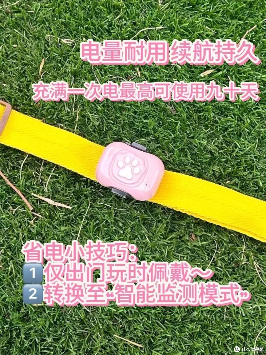 猫咪狗狗防走丢,这个小东西就能搞定