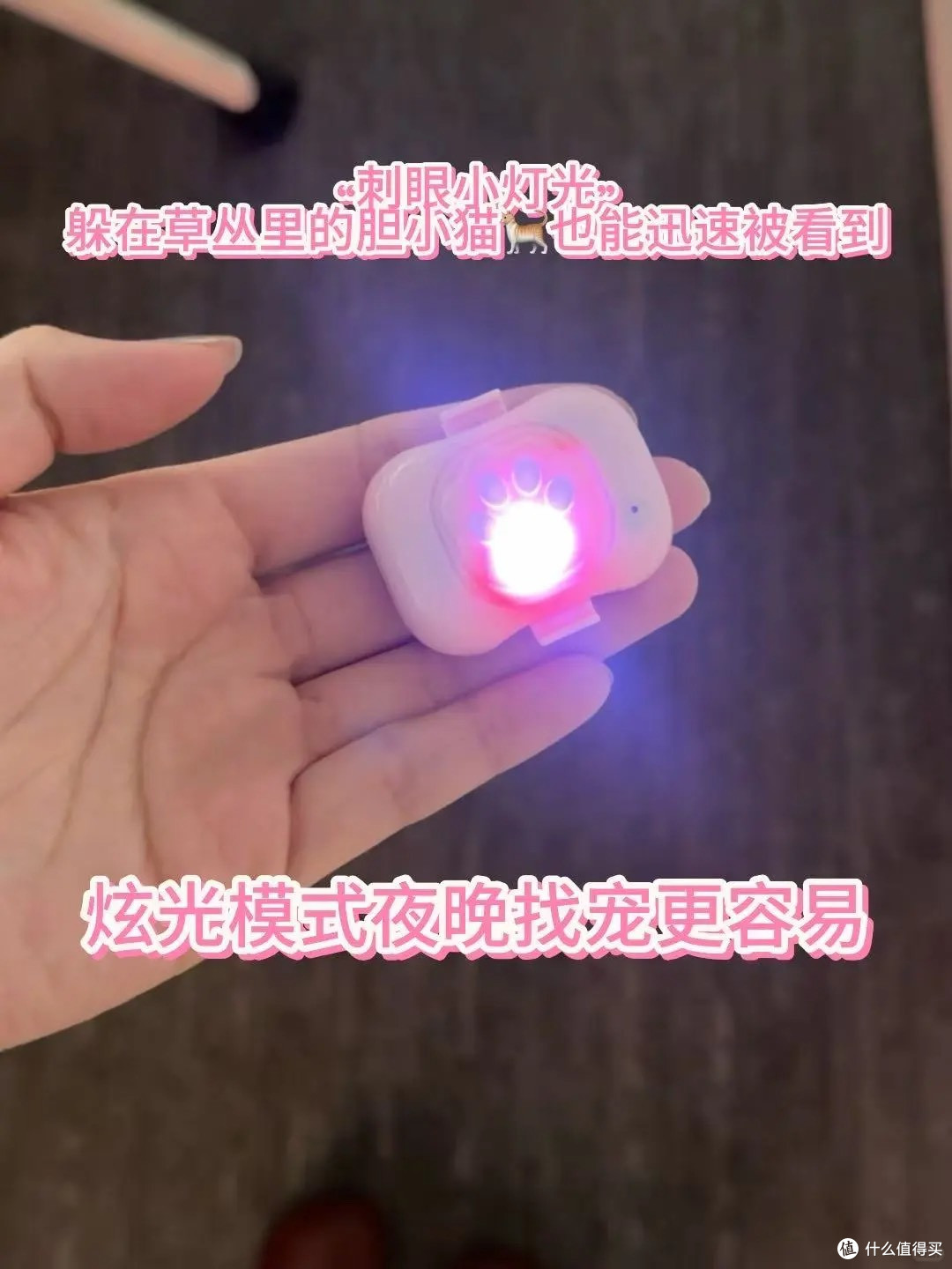 猫咪狗狗防走丢,这个小东西就能搞定