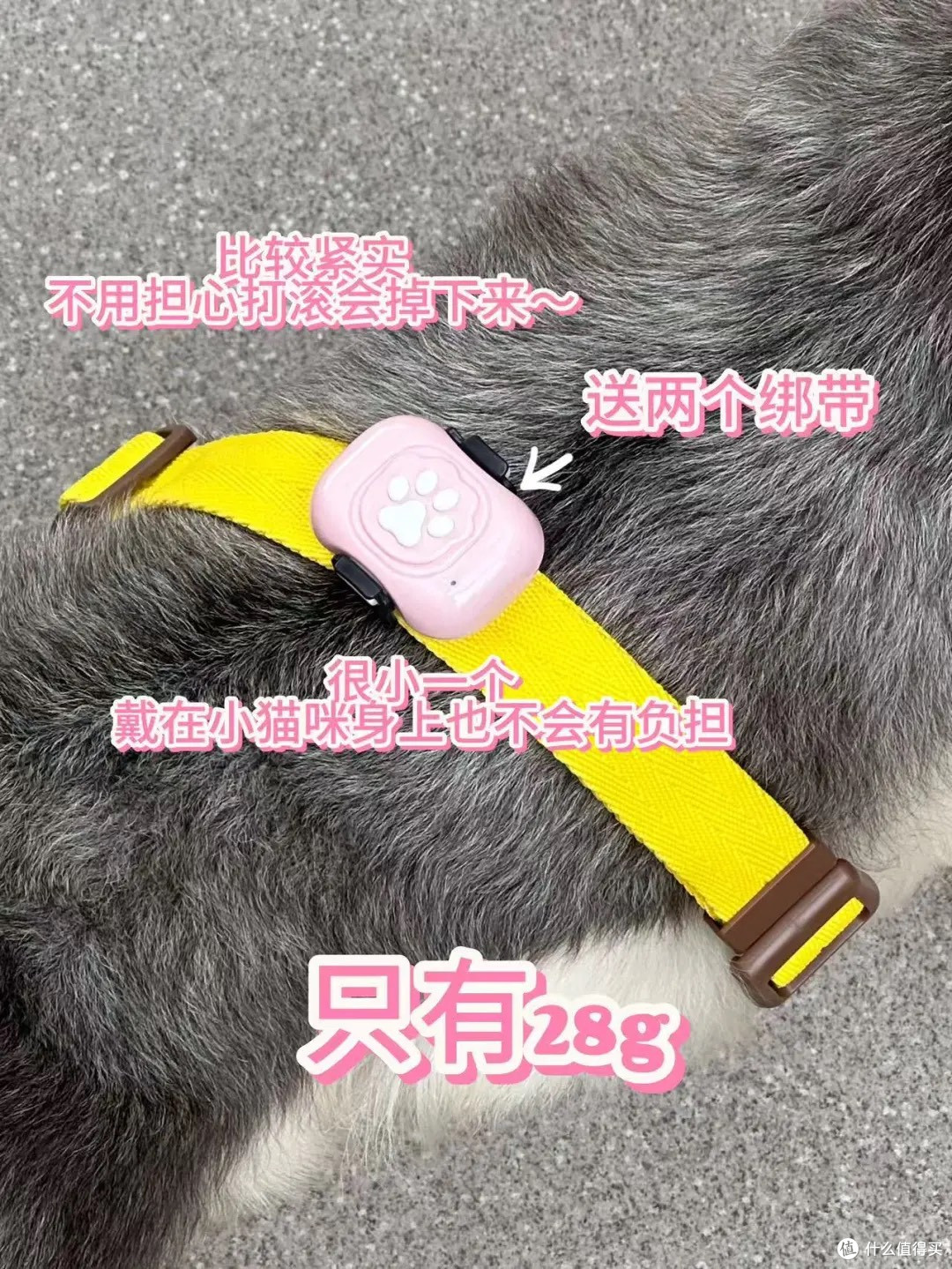 猫咪狗狗防走丢,这个小东西就能搞定