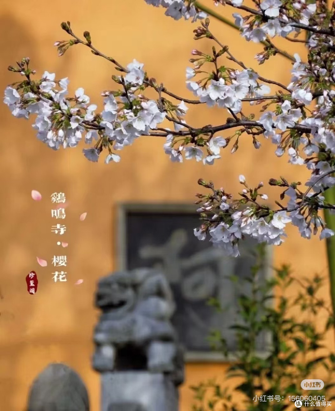 春游鸡鸣寺与玄武湖:一曲金陵春歌