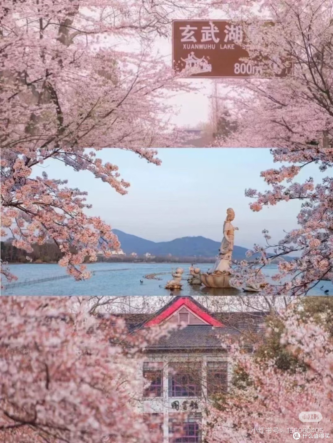 春游鸡鸣寺与玄武湖:一曲金陵春歌
