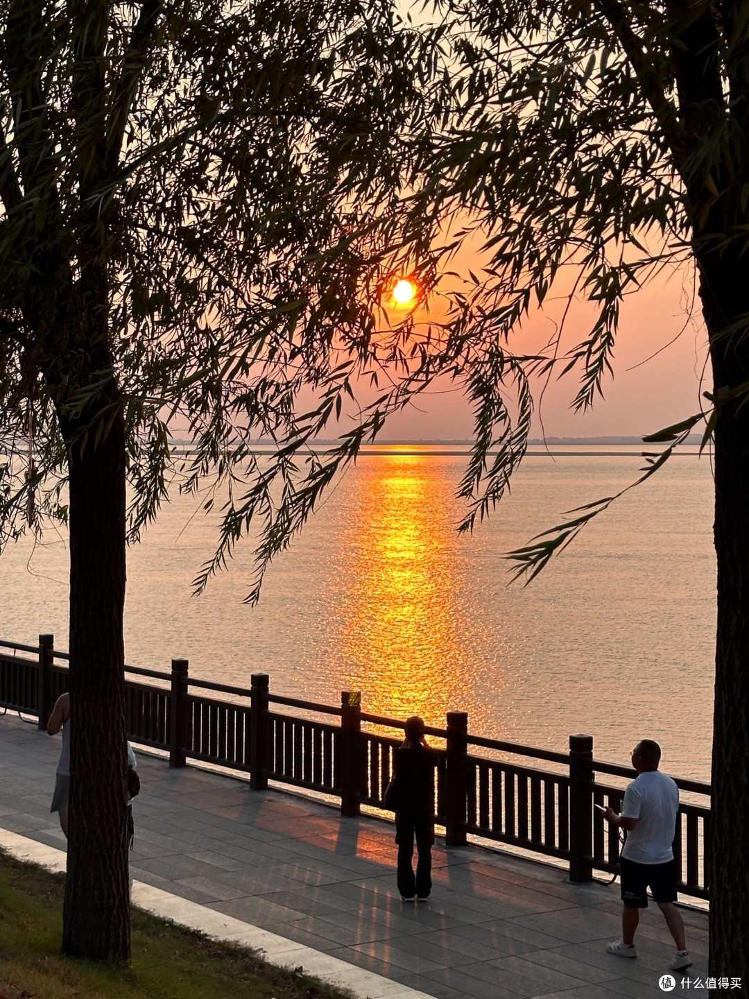 洞庭湖春日游:晨雾中的水墨画卷