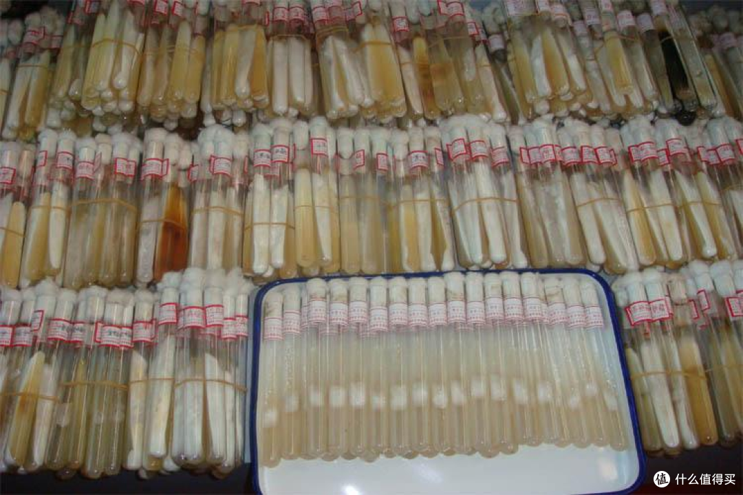 生化环材实验,真有想象中的那么好玩吗?