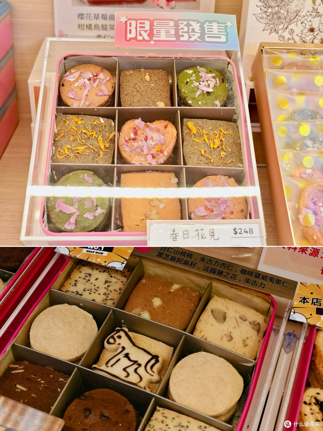 深港春日暴走吃线!深圳湾到旺角,一口鲜掉眉毛😭