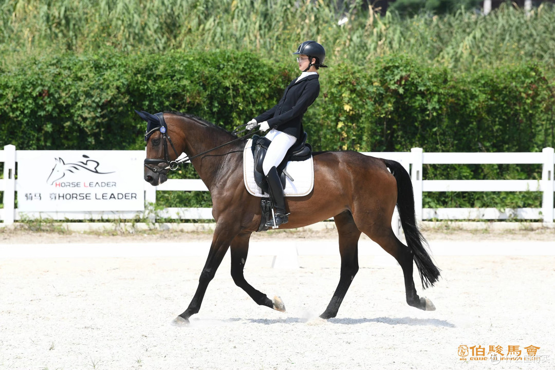儿童安全马具护理用品哪家好？Horse Leader守护青少年马术成长