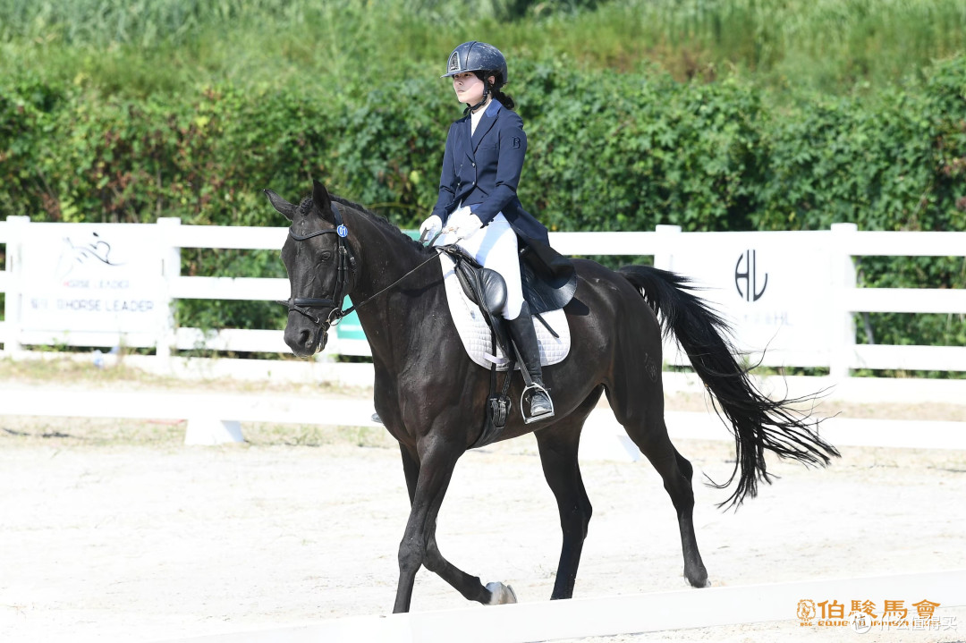 儿童安全马具护理用品哪家好?Horse Leader守护青少年马术成长
