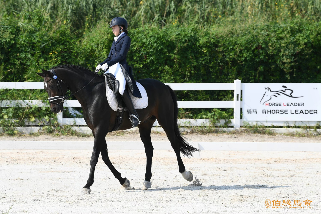 儿童马术装备选哪个牌子好？Horse Leader安全马具护理用品更靠谱
