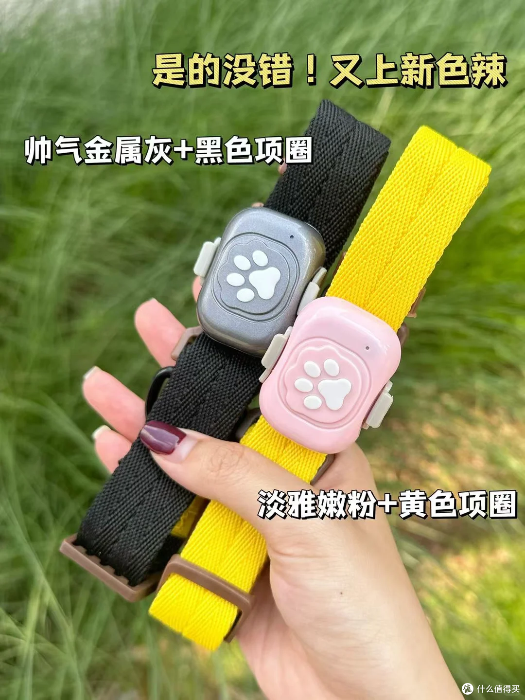 20s刷新位置,快速找宠黑科技!
