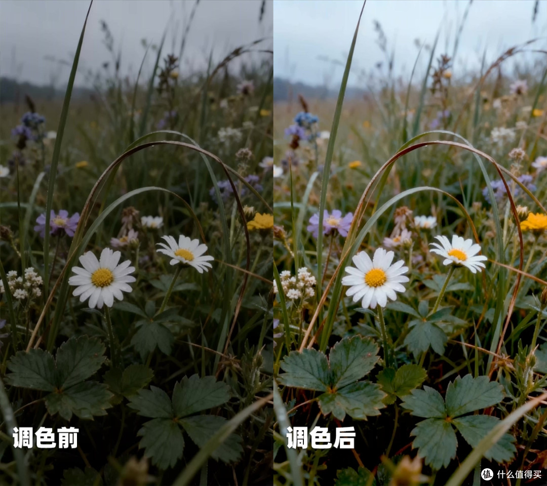 拯救废片!视频太暗这样调整,点赞率提升35%的真实案例