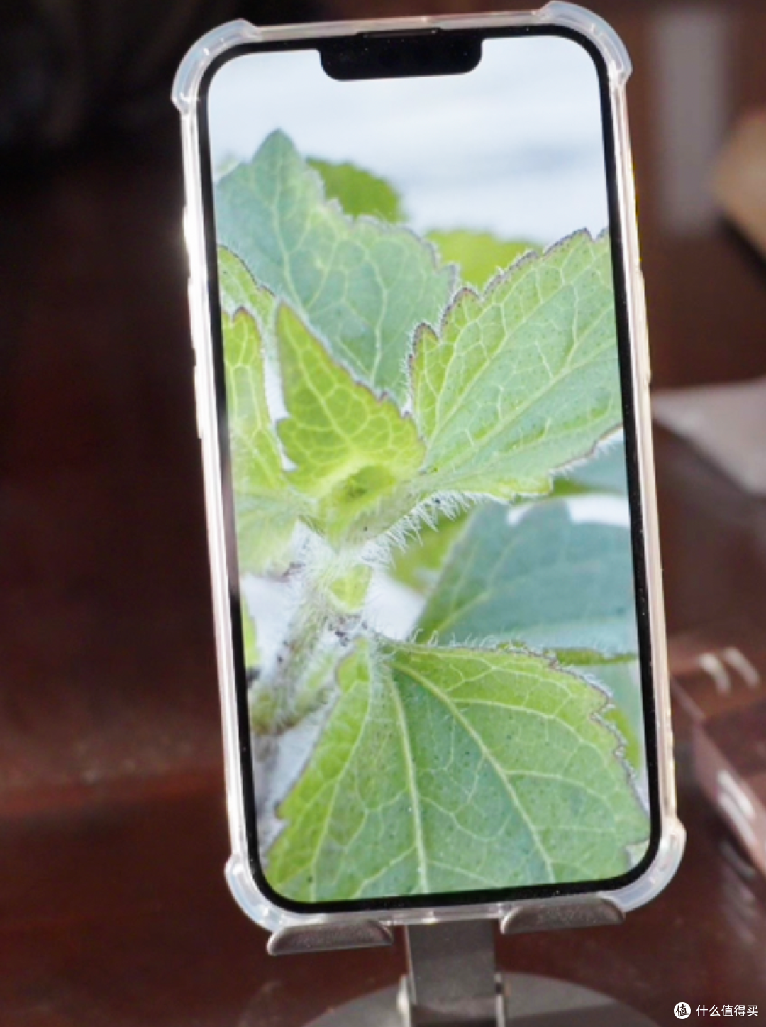 iPhone 17e测评：开启自适应后觉得性价比很高