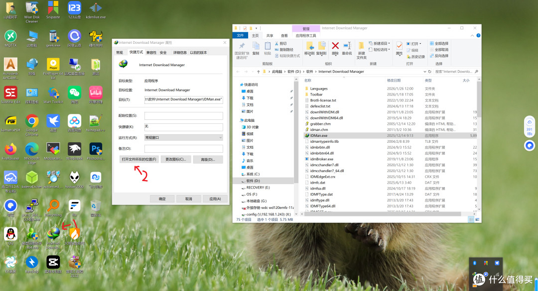 IDM(Internet Download Manager)一直弹出购买弹窗解决方法