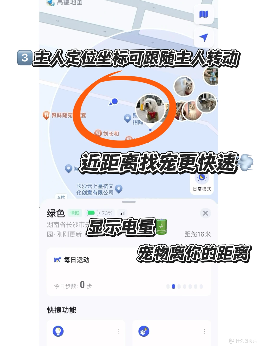 狗狗走丢后这个想法真的很危险….