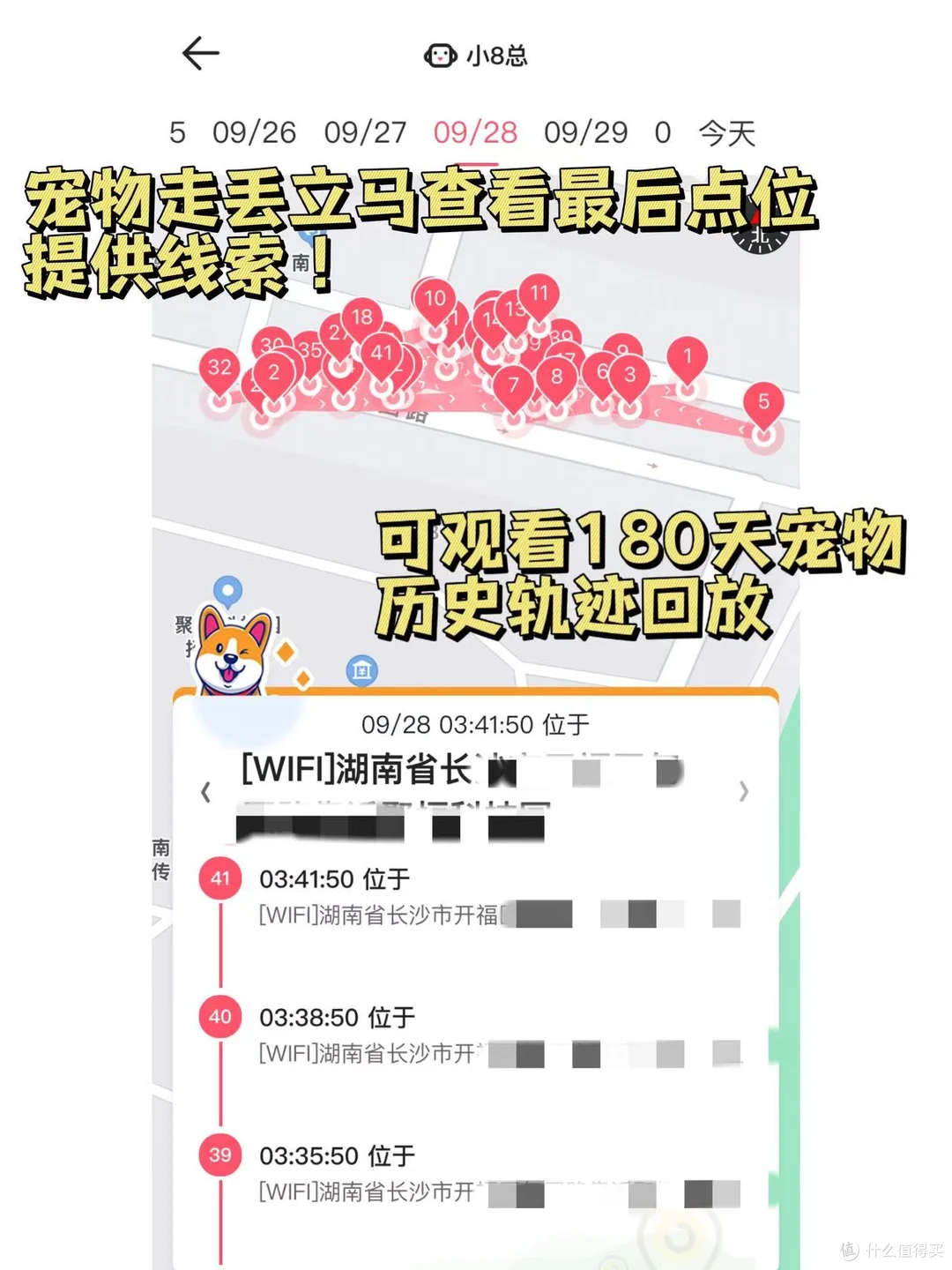 狗狗走丢后这个想法真的很危险….