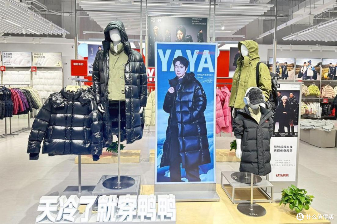 平价羽绒服VS贵价羽绒服,到底有啥区别?对比鸭鸭、波司登就懂了