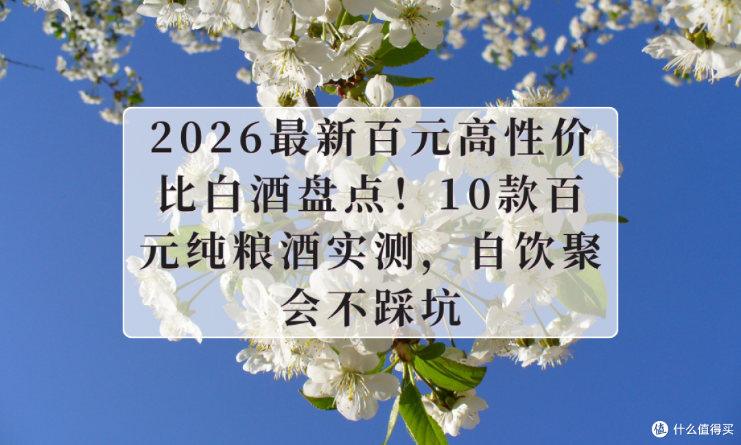 2026最新百元高性价比白酒盘点！10款百元纯粮酒实测，自饮聚会