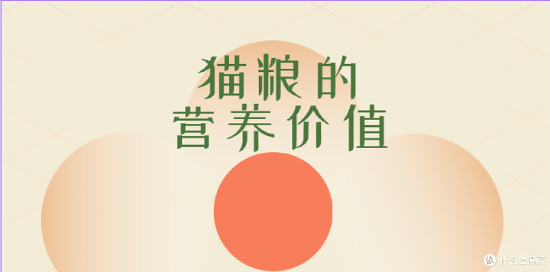 什么是全价猫粮、全期猫粮?盘点什么猫粮好猫粮排行榜前十名