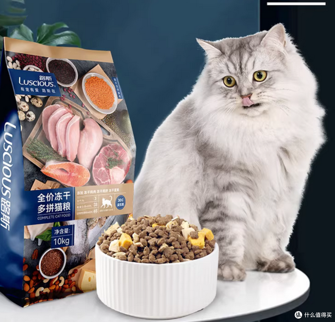 品牌猫粮有哪些性价比高？2026年国产猫粮排名前十品牌分享