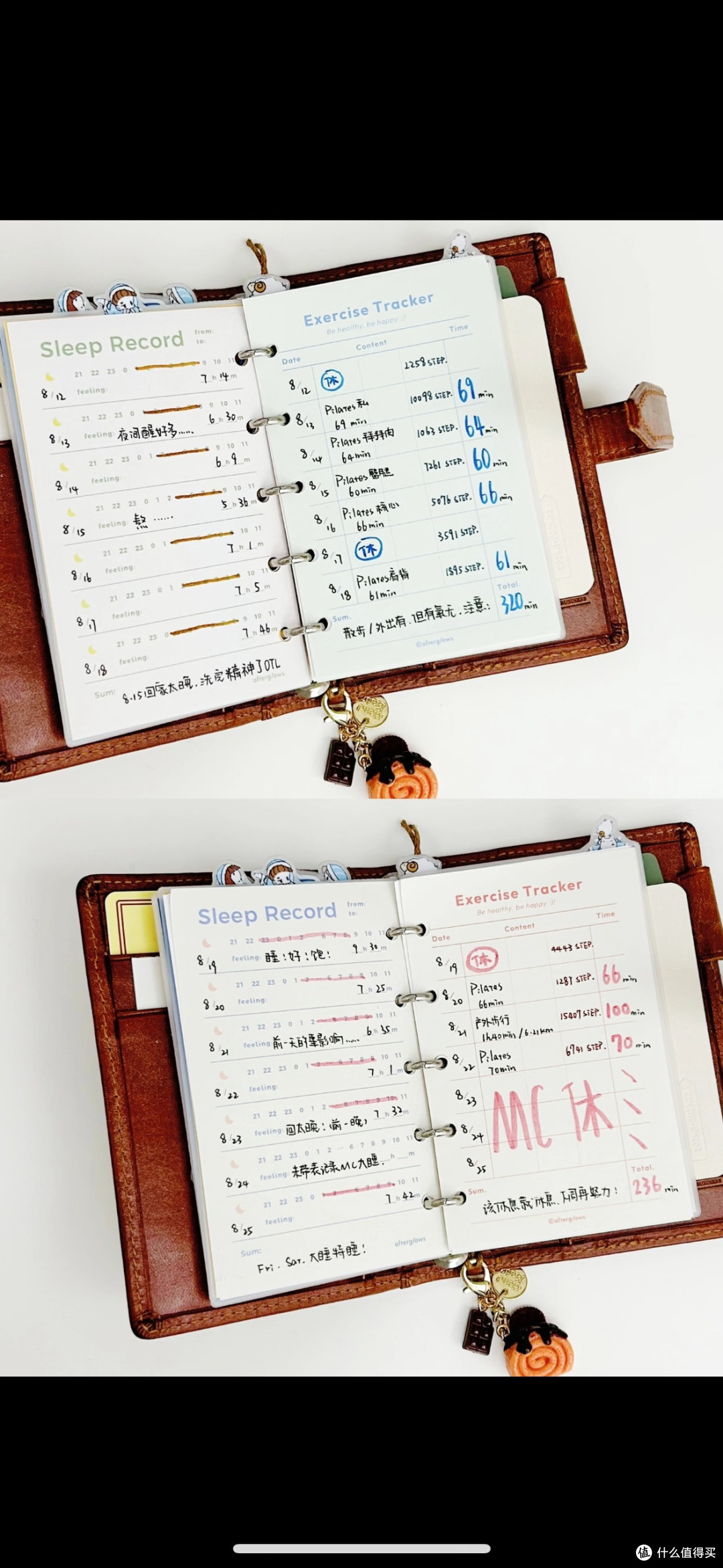 运动指南