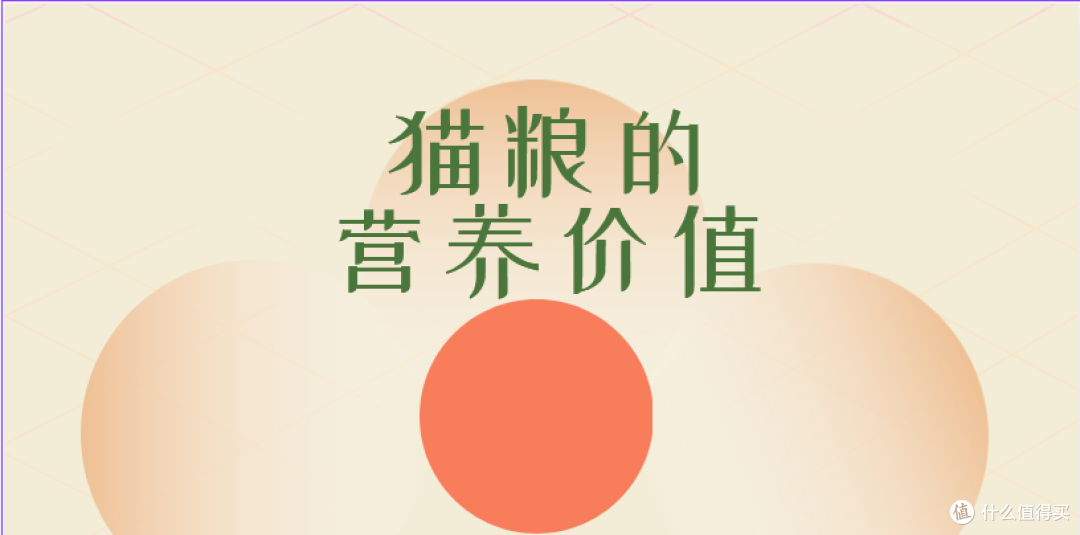 什么是全价猫粮、全期猫粮?实测出炉,2026最好的猫粮排行榜TOP3