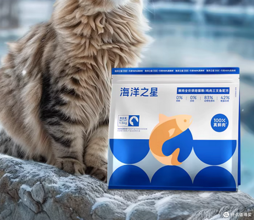 什么是全价猫粮、全期猫粮?实测出炉,2026最好的猫粮排行榜TOP3