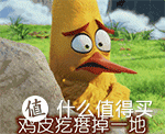 79元起,碳纤维纹理+旗舰编码器,这性价比杀疯了?新盟ZERO3