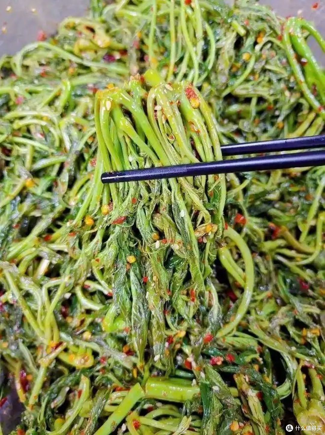 春分吃春菜，你家乡的春菜是韭菜、荠菜还是香椿？