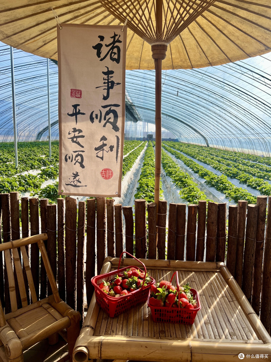 春日田园采摘:草莓与樱桃的甜蜜时光