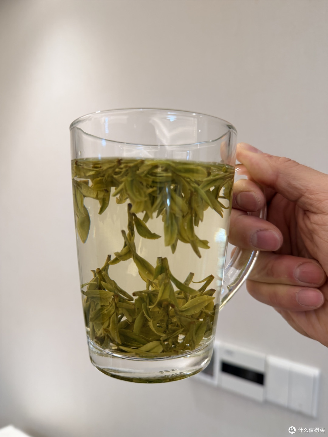 春天的第一杯鲜爽——头采西湖龙井