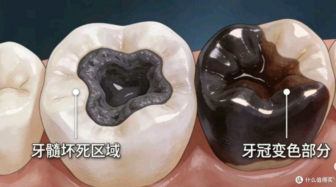口腔