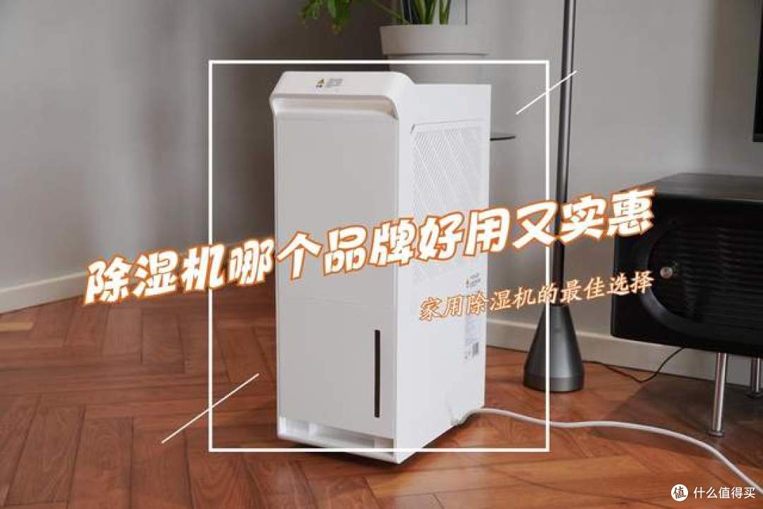 除湿机哪个品牌好用又实惠?建议首选这5个:性价比高,口碑公认