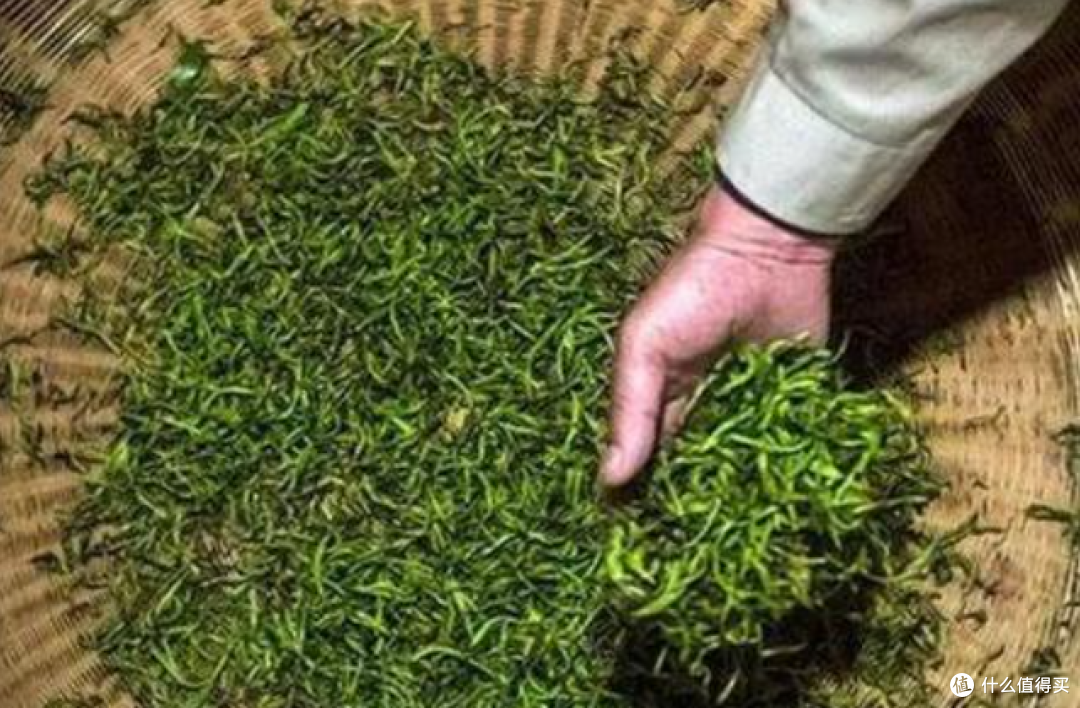 2026年3月| 好喝的绿茶推荐:什么绿茶好?值得买得绿茶品牌推荐