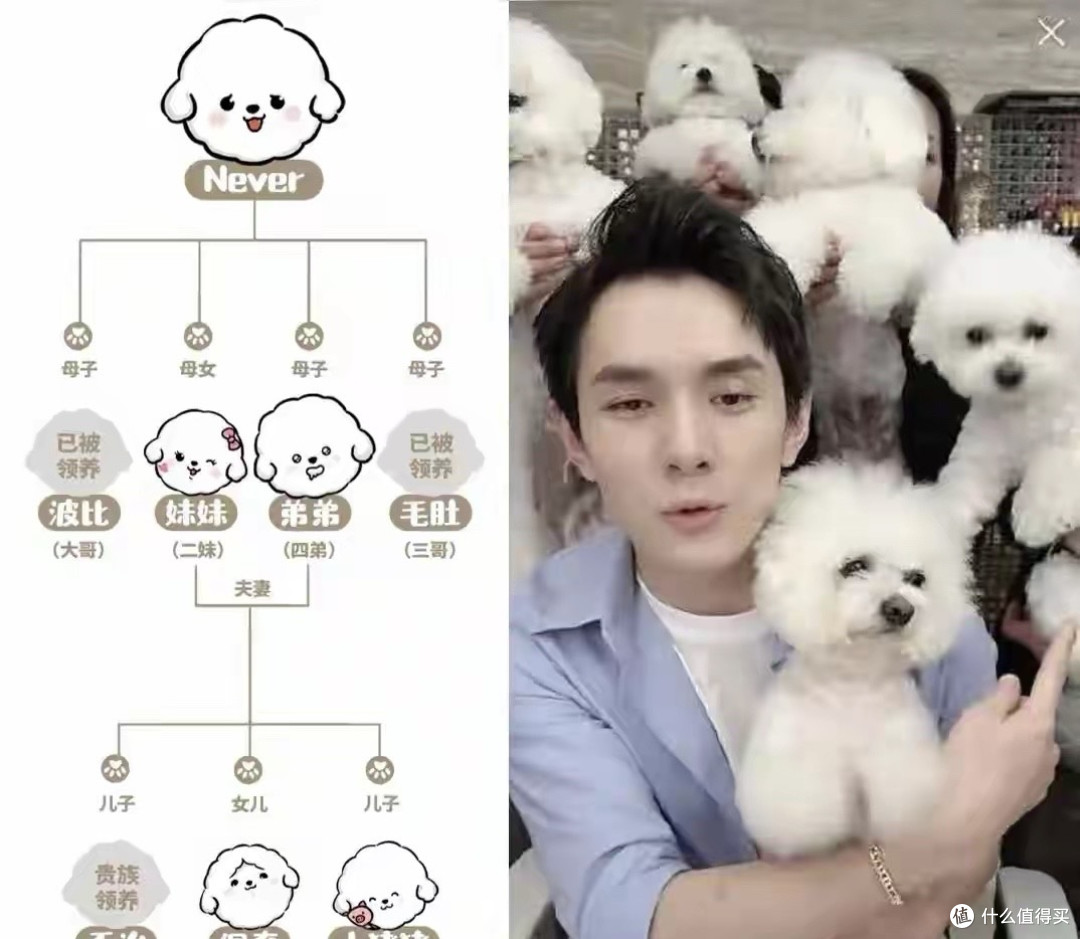 人不如狗实锤了！沪95后女孩为爱犬豪掷1.2万/月上“贵族幼儿园”