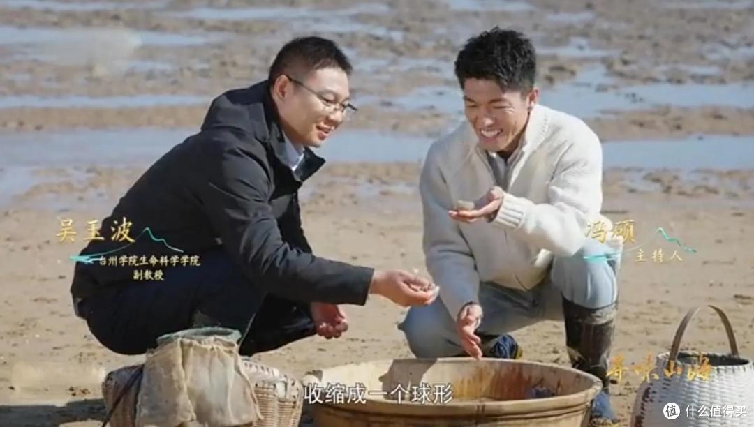 浙江有种“长在海里的蒜”,实为一种动物,被称“海中冬虫夏草”