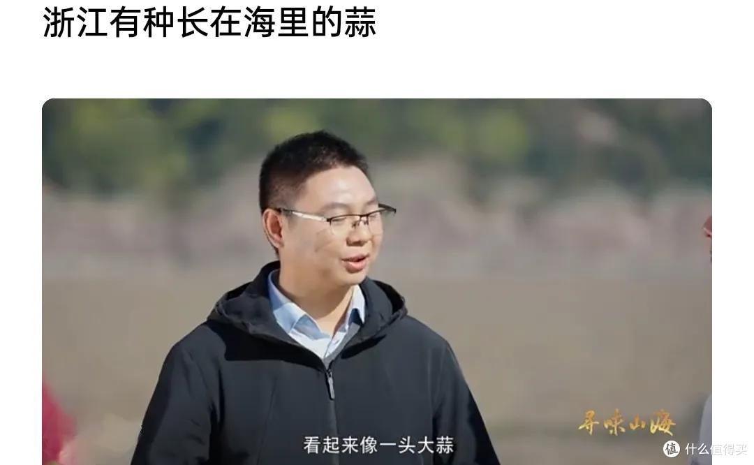浙江有种“长在海里的蒜”,实为一种动物,被称“海中冬虫夏草”