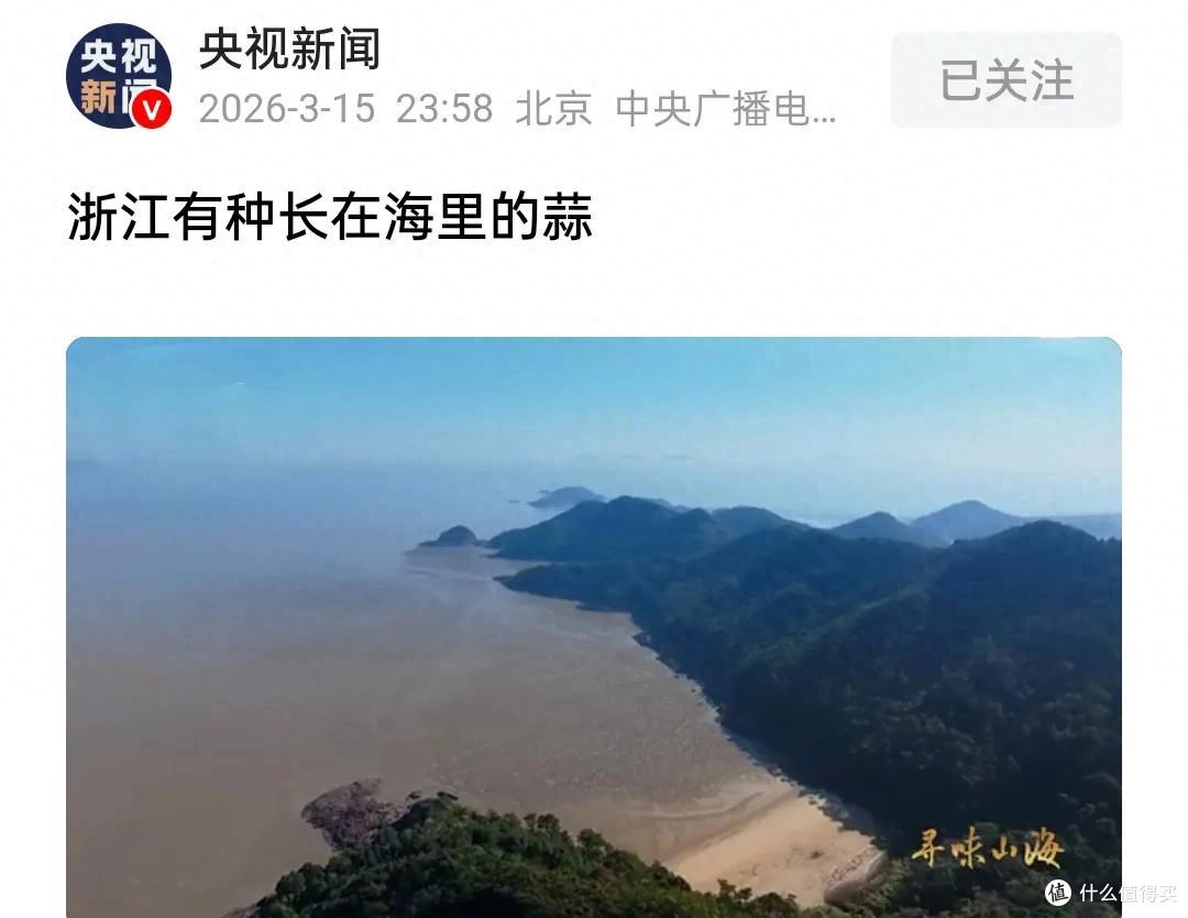 浙江有种“长在海里的蒜”,实为一种动物,被称“海中冬虫夏草”