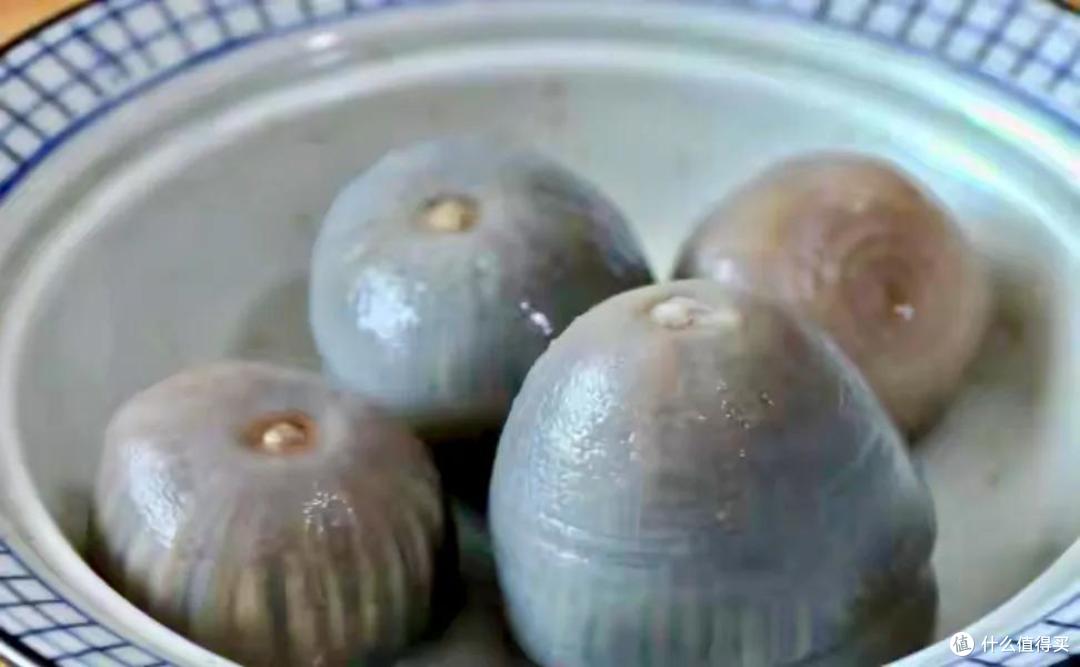 浙江有种“长在海里的蒜”,实为一种动物,被称“海中冬虫夏草”