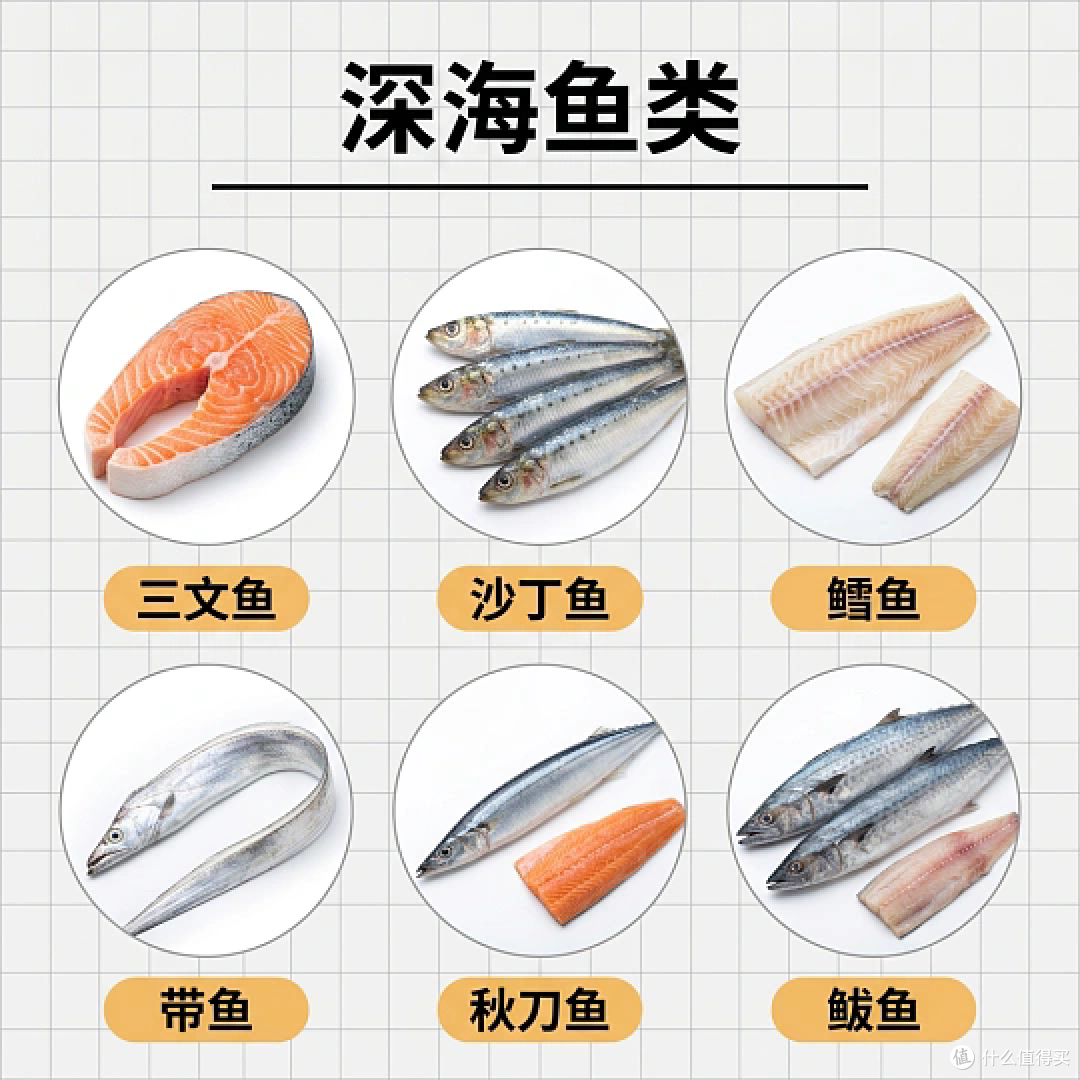 结合当下实际情况,浅谈Omega-3、Omega-6、Omega-9三大脂肪酸