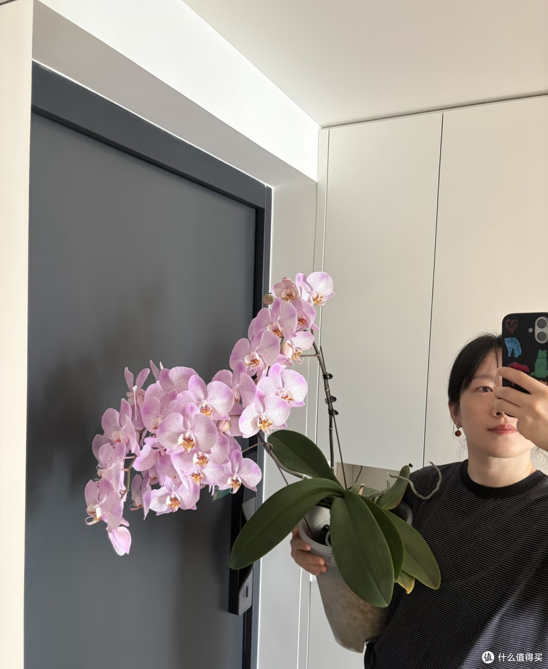 湖北一太太，养4年的蝴蝶兰“太争气”，年年开爆，网友：真会养