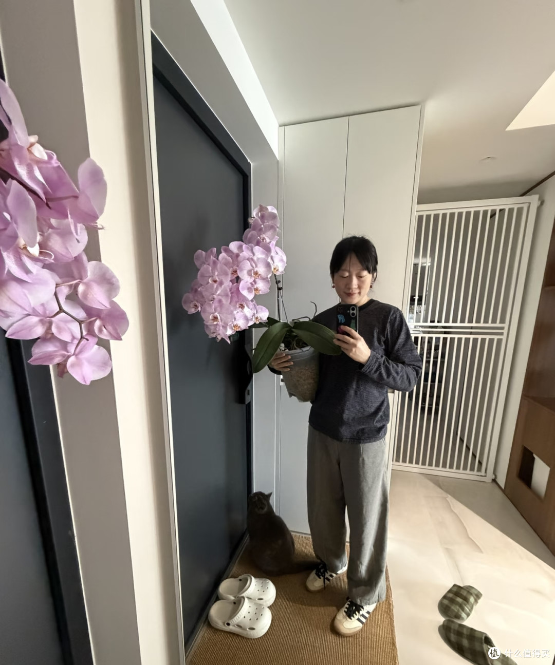 湖北一太太，养4年的蝴蝶兰“太争气”，年年开爆，网友：真会养