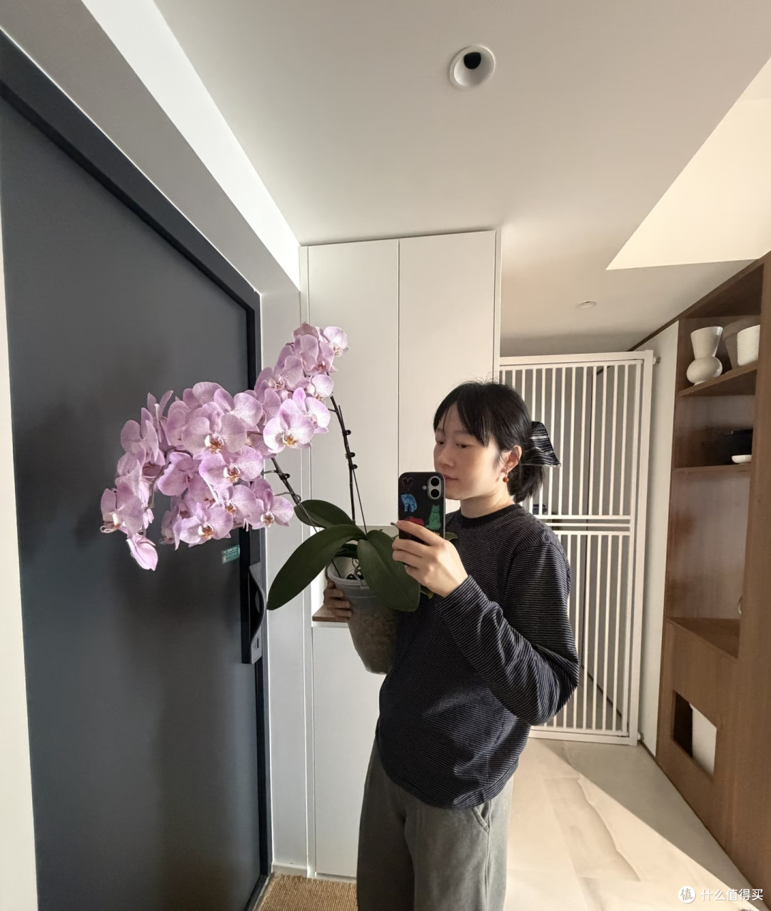湖北一太太，养4年的蝴蝶兰“太争气”，年年开爆，网友：真会养