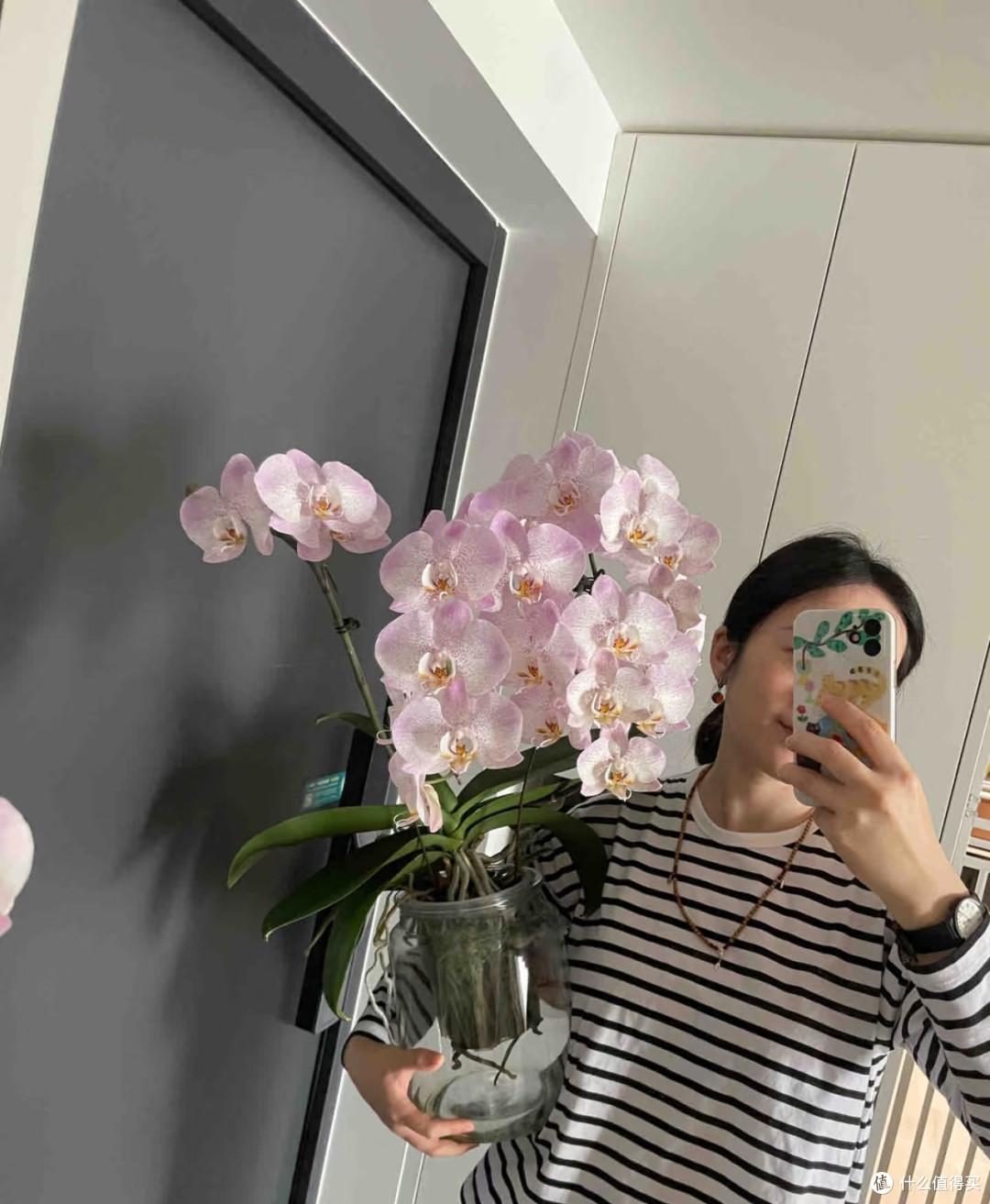 湖北一太太，养4年的蝴蝶兰“太争气”，年年开爆，网友：真会养
