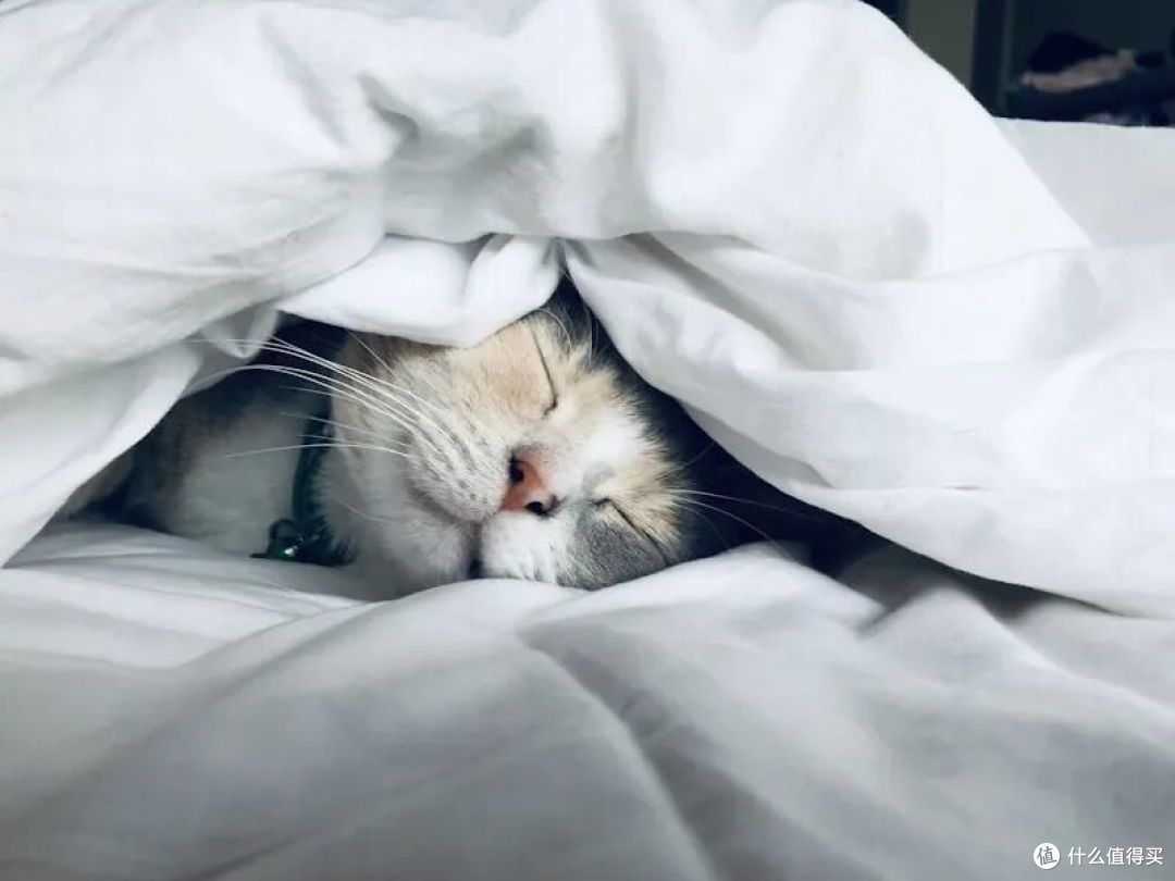 睡眠呼吸暂停1年撞坏3辆车:这种"睡病"正在要人命