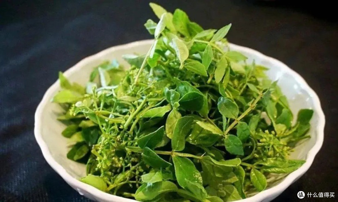 春天各种吃芽，一年之鲜，把绿色吃进肚子里