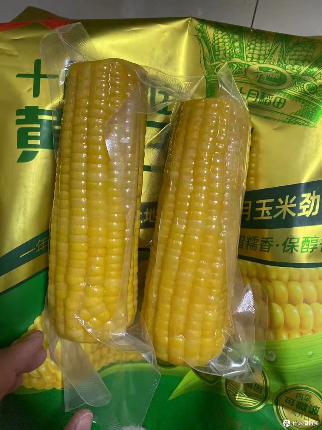 减脂党狂喜!十月稻田黄糯玉米,软糯饱腹还不胖🌽
