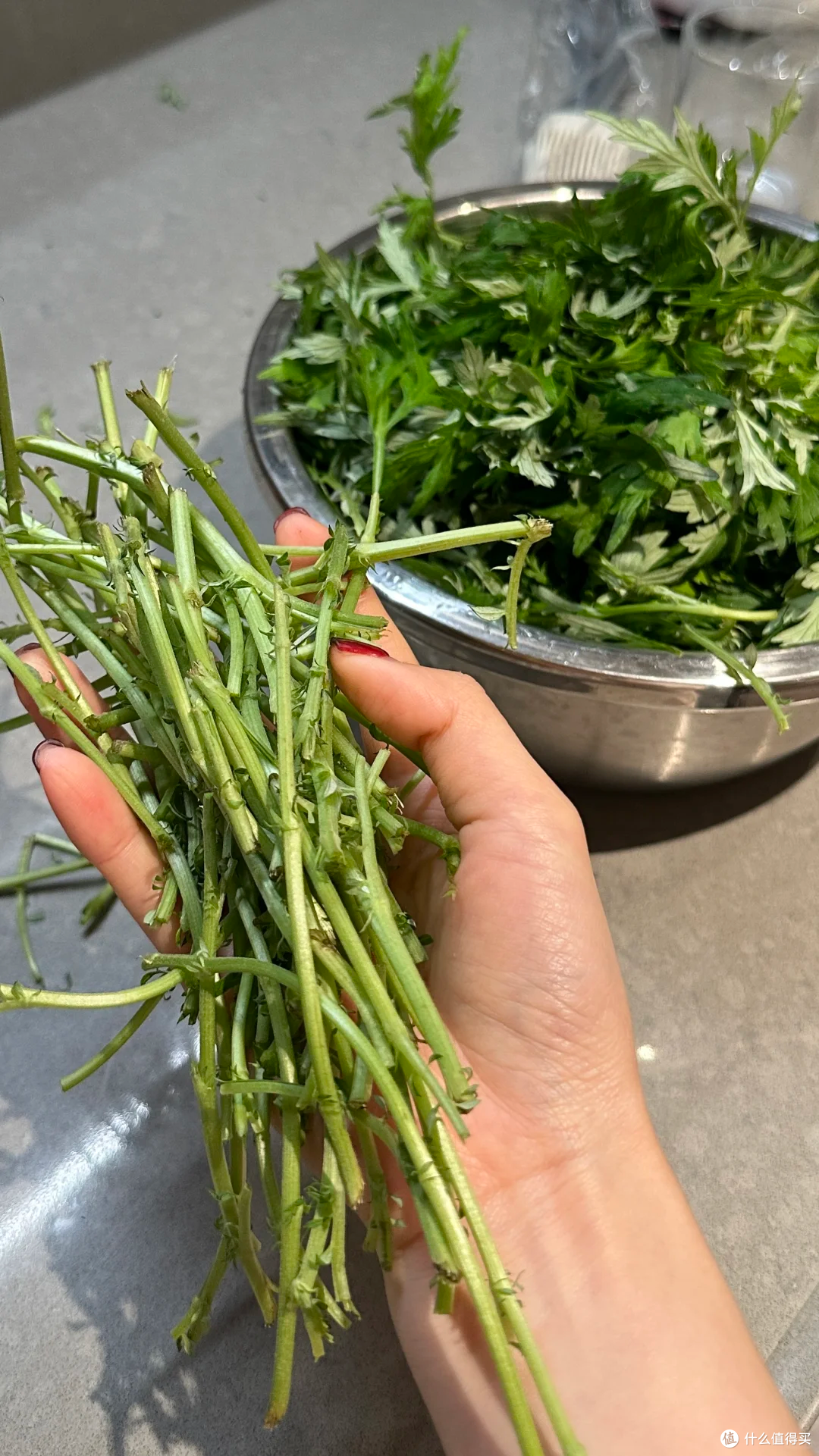春日限定食鲜记:一口尝遍南北山河春味